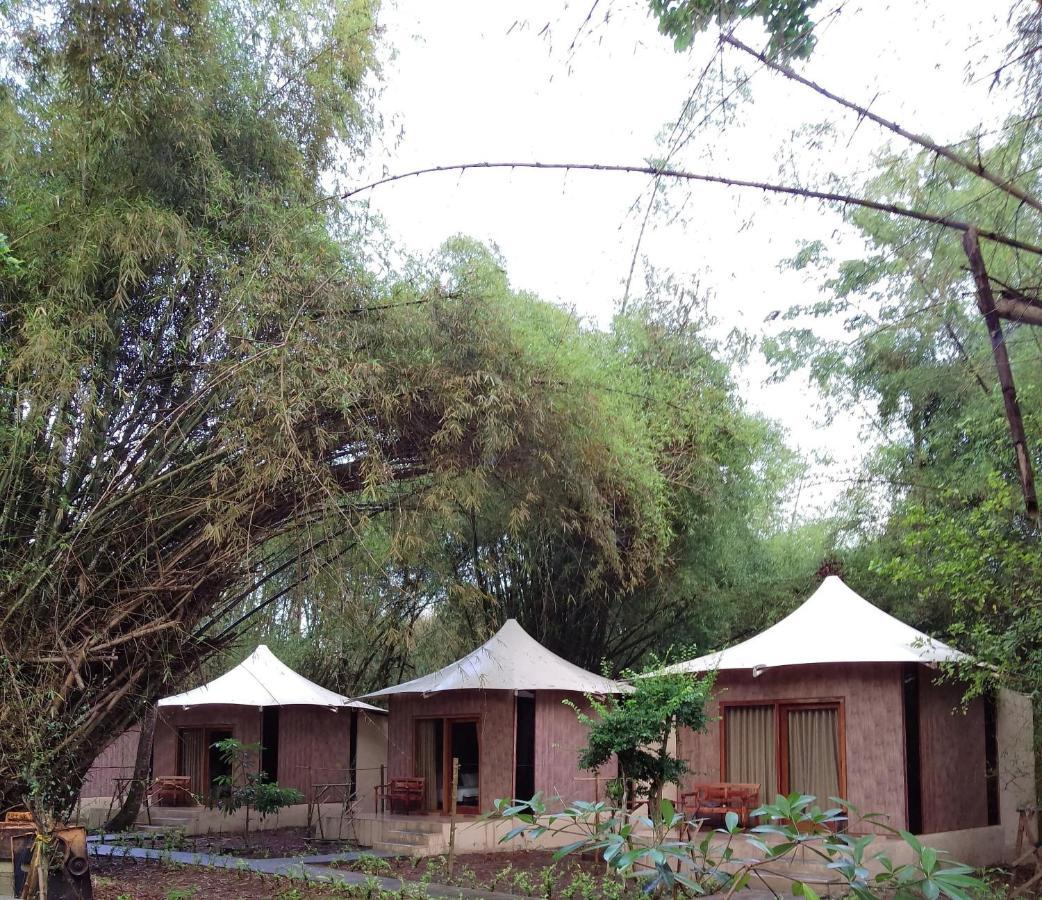 Jawa Jiwa G-Land Resort Dadapan Eksteriør bilde