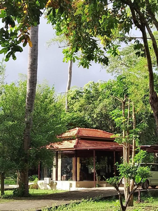 Jawa Jiwa G-Land Resort Dadapan Eksteriør bilde