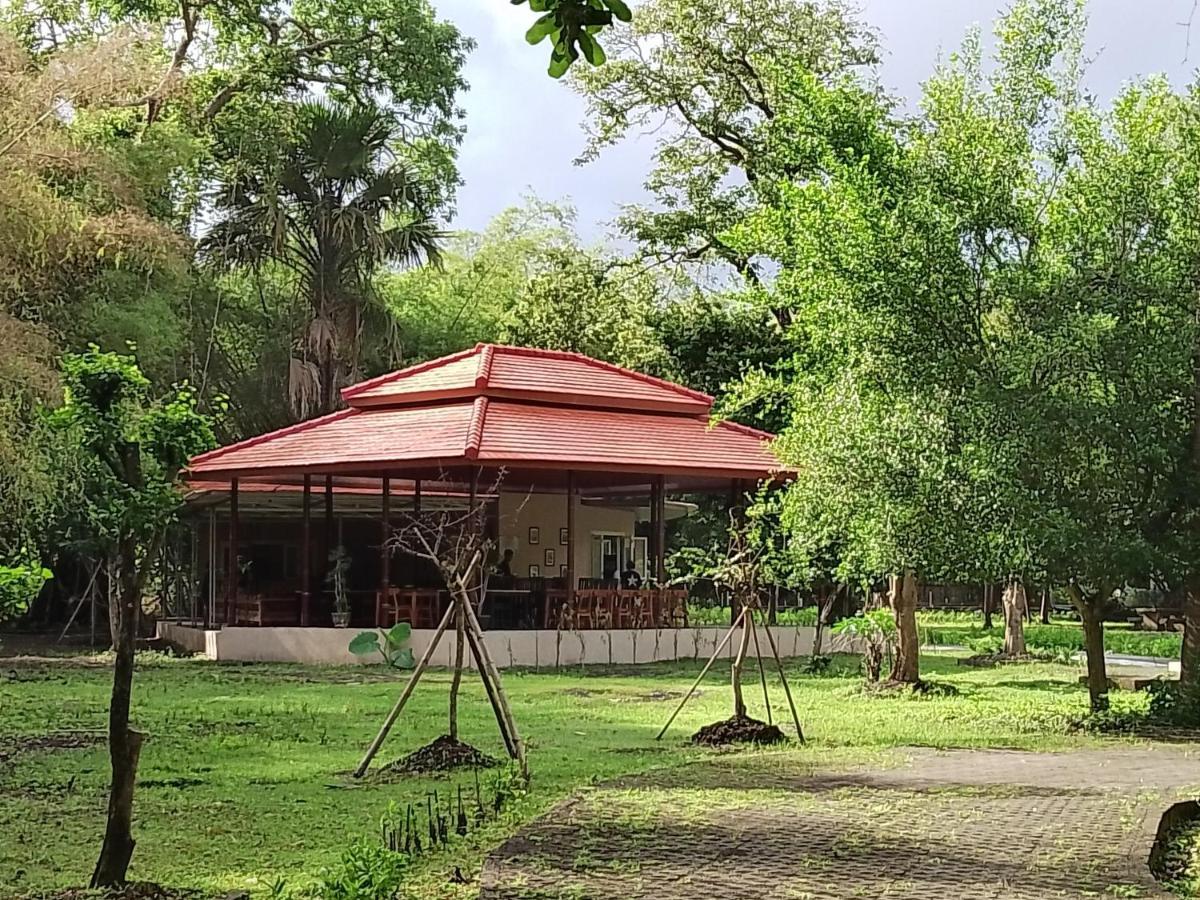Jawa Jiwa G-Land Resort Dadapan Eksteriør bilde