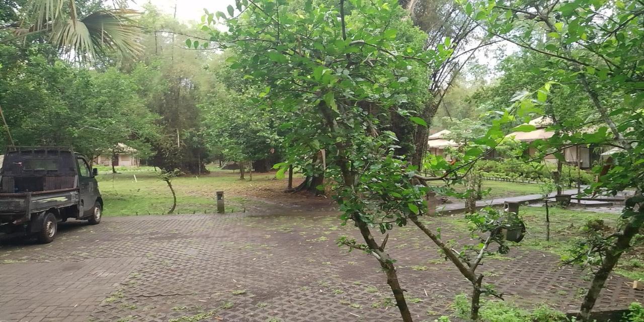 Jawa Jiwa G-Land Resort Dadapan Eksteriør bilde